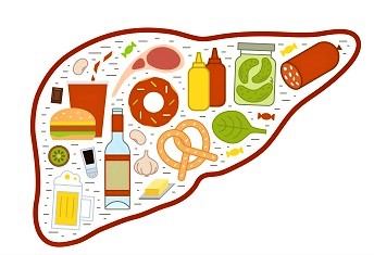 liver icon with foods